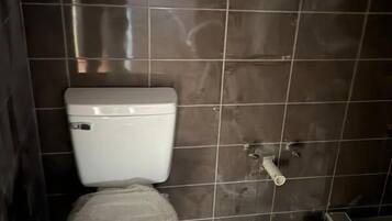 Douche, serviettes fournies, papier toilette