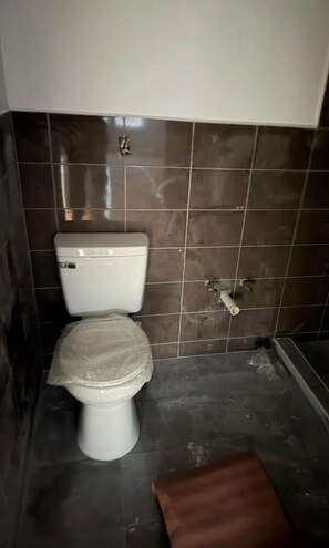 Shower, towels, toilet paper