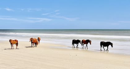 Pool,Golf,Beach,Resort Amenities,Fitness,GameRoom