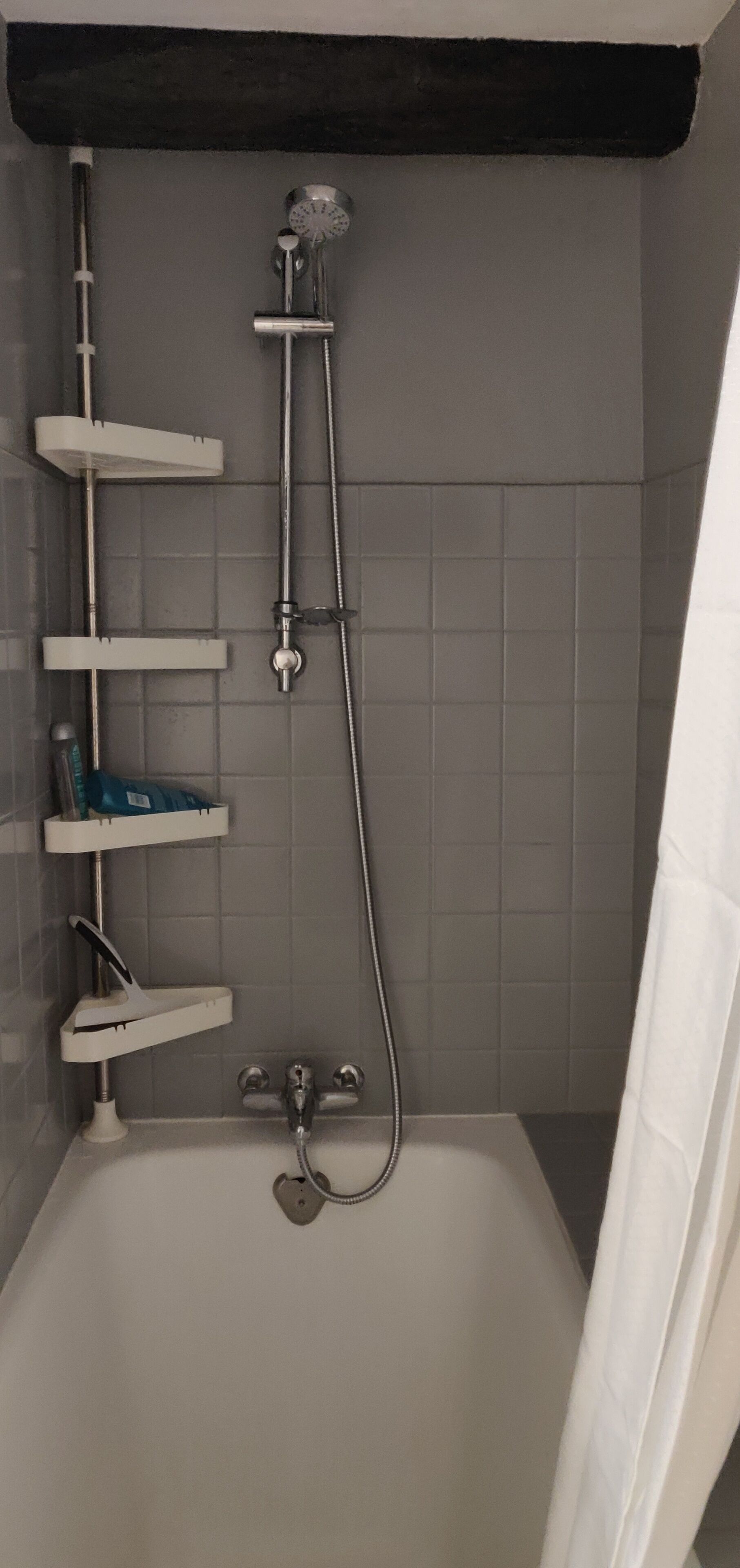 Un baño con una bañera, un cabezal de ducha y un inodoro.
