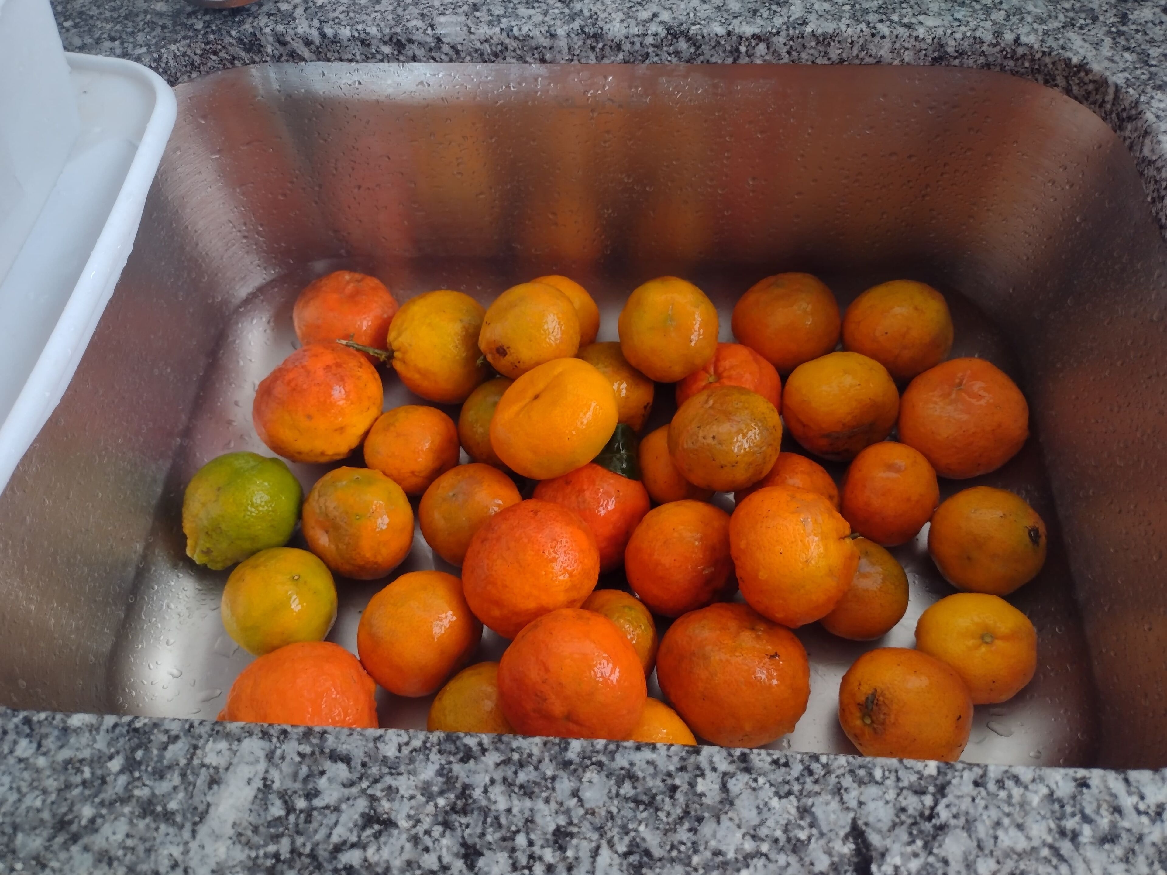 Ein Edelstahlspüle, gefüllt mit Orangen und ein paar Zitronen.