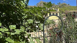 A garden with fig trees, a metal gate, and a view of a mountain and buildings in the background.