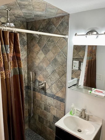Shower, hair dryer, towels, soap. Charming Studio in the Heart of Springfield