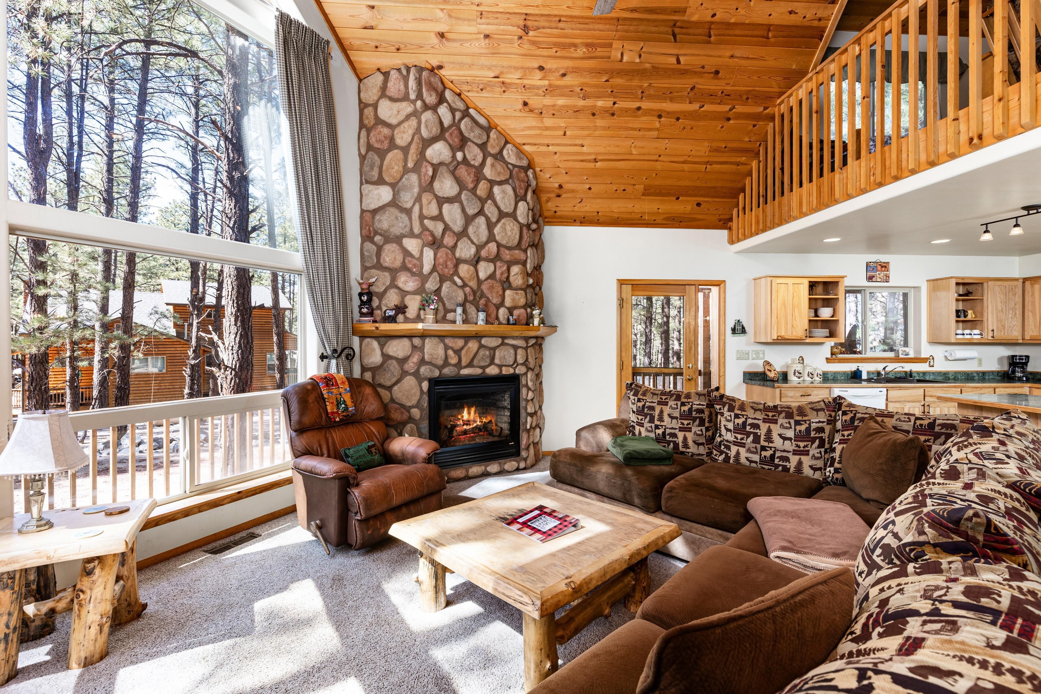 TV connectée, cheminée, lecteur de DVD, livres