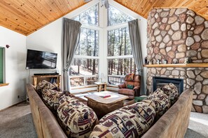 Smart TV, fireplace, DVD player, books