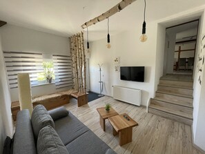 TV, fireplace, books