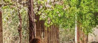 Tranquilidad Rural. Molino Viejo de Salar