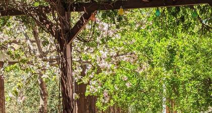 Tranquilidad Rural. Molino Viejo de Salar