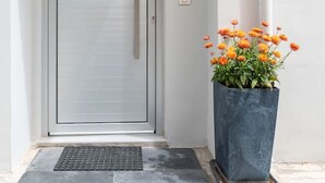 A modern door with a handle, a small potted plant with orange flowers, and a metal doormat.