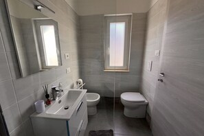 Shower, hair dryer, bidet, towels