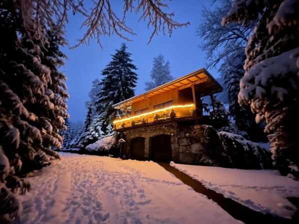 Exterior - LA Grangette DES Daines (LA FECLAZ LES DESERTS)