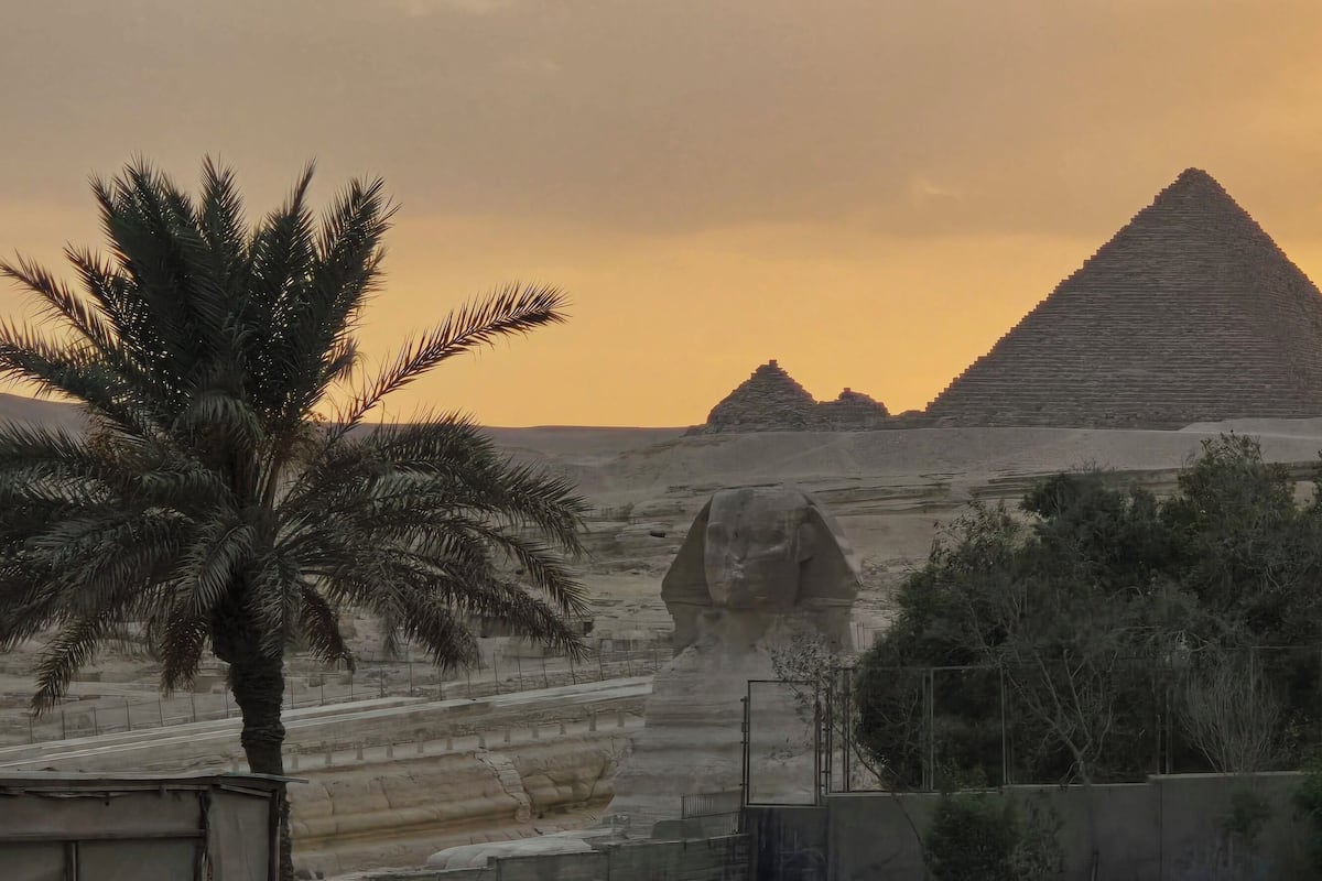 Una pirámide y una esfinge en un paisaje desértico, con una palmera en primer plano.