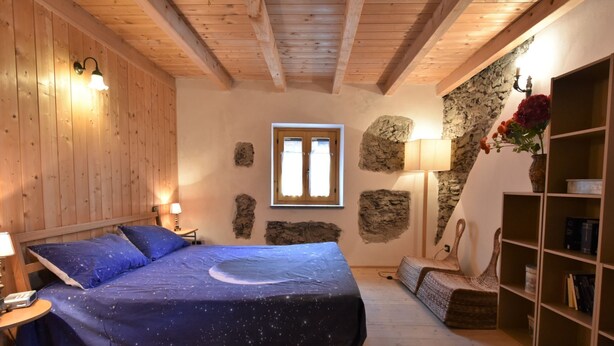A bedroom with a bed, wooden walls, a stone wall, a window, a bookshelf, and a lamp. - Dubino Home by Interhome (Valtellina)