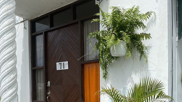 Une entrée d’immeuble avec une porte marron, une enseigne portant le numéro 11 et des plantes en pot.