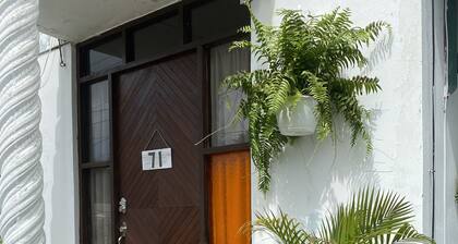 Discover Guayama's Tropical Treasure: Your Home Away From Home.