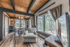 Televisión, chimenea, reproductor de DVD y libros 