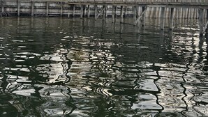 Una cabaña junto al lago con un muelle que se adentra en el agua, rodeada de altos árboles.