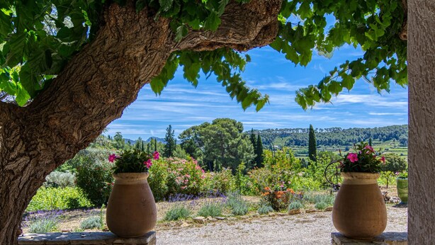 Eine Steinsitzbank unter einem Baum mit Blick auf einen Garten und sanfte Hügel in der Ferne.