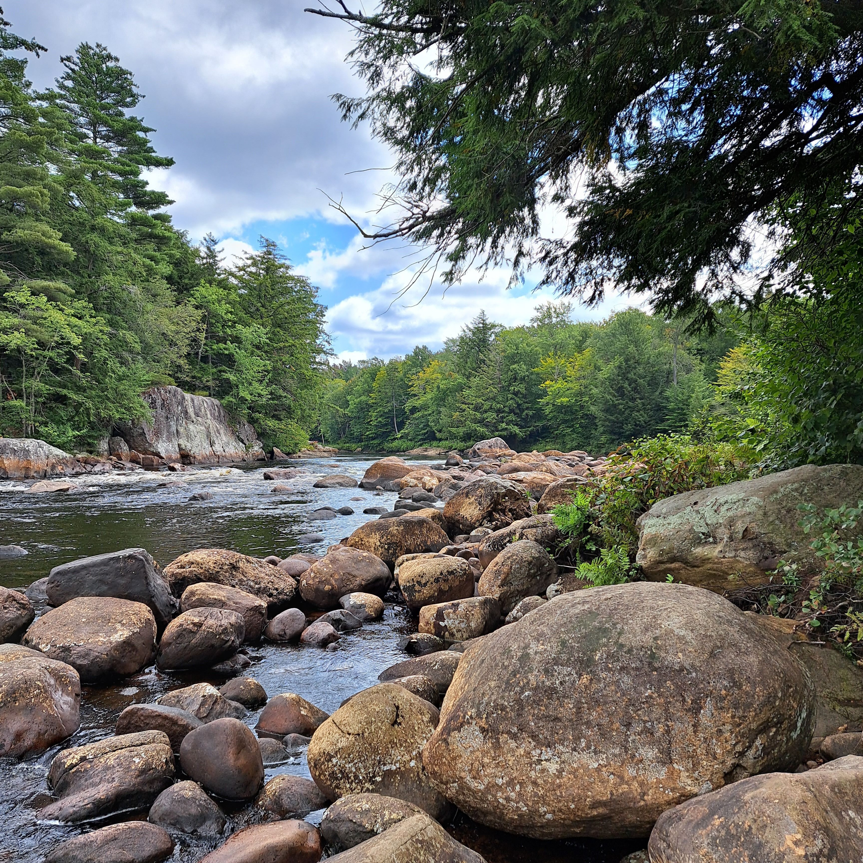 Moose River ADK Get-Away 