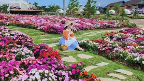 A garden with colorful flowers and a person sitting on the grass.