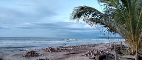 Plage à proximité