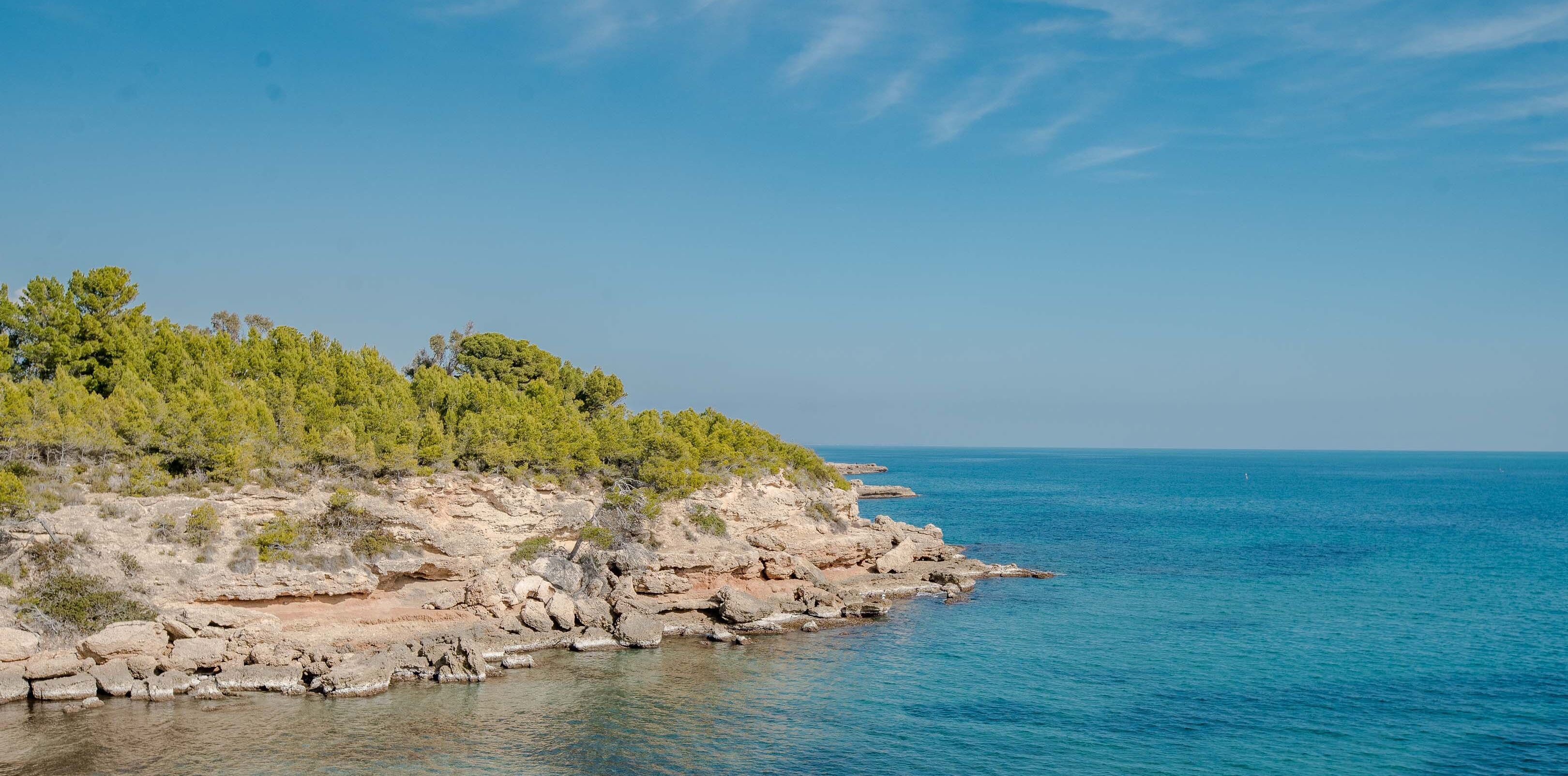 Un paysage côtier caractérisé par un terrain rocheux et une végétation verdoyante et luxuriante.