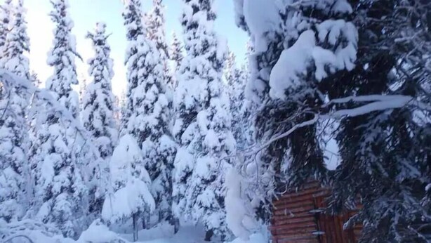 A wooden cabin surrounded by snow-covered trees. - cozy cabin (Copper Center)
