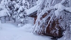 A wooden cabin surrounded by snow-covered trees. - cozy cabin (Copper Center)