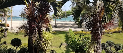 Un jardín tropical con palmeras, un sendero de piedra y una playa al fondo.