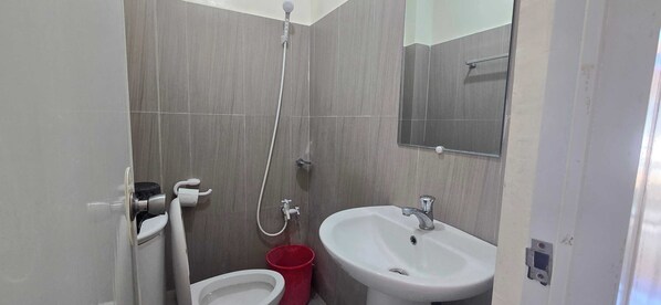 Une petite salle de bain avec des toilettes, un lavabo et une douche.