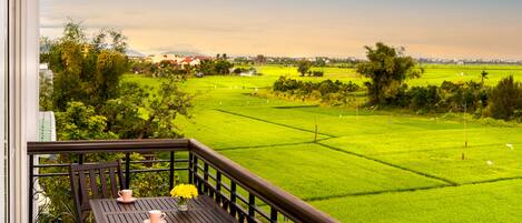 Down comforters, minibar, in-room safe, desk