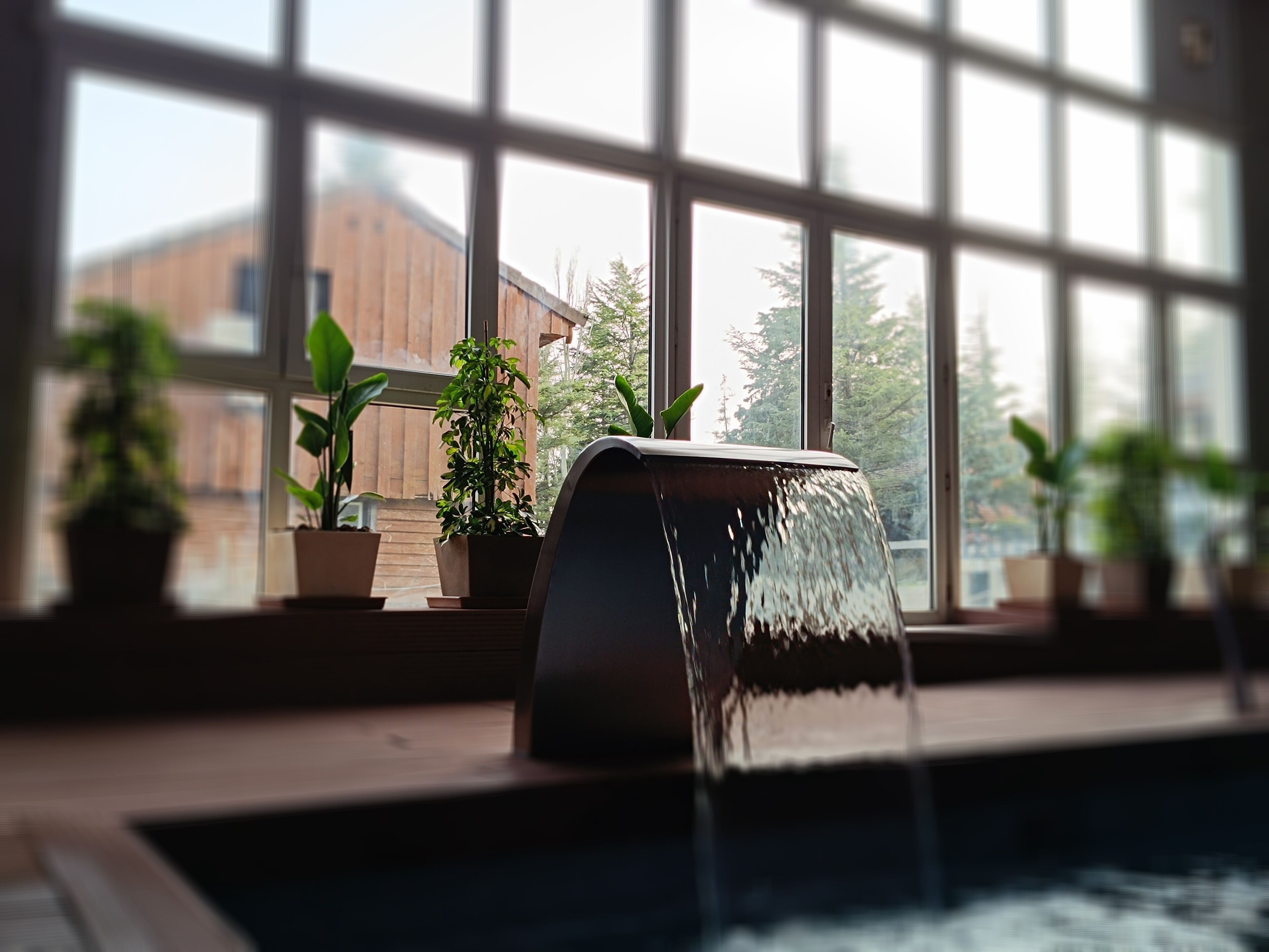 Sauna, Körperbehandlungen, Sportmassagen, Gesichtsbehandlungen