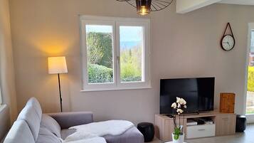 TV, fireplace, books