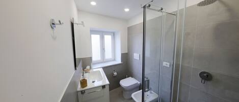 A modern bathroom with a glass shower enclosure, a toilet, and a sink.