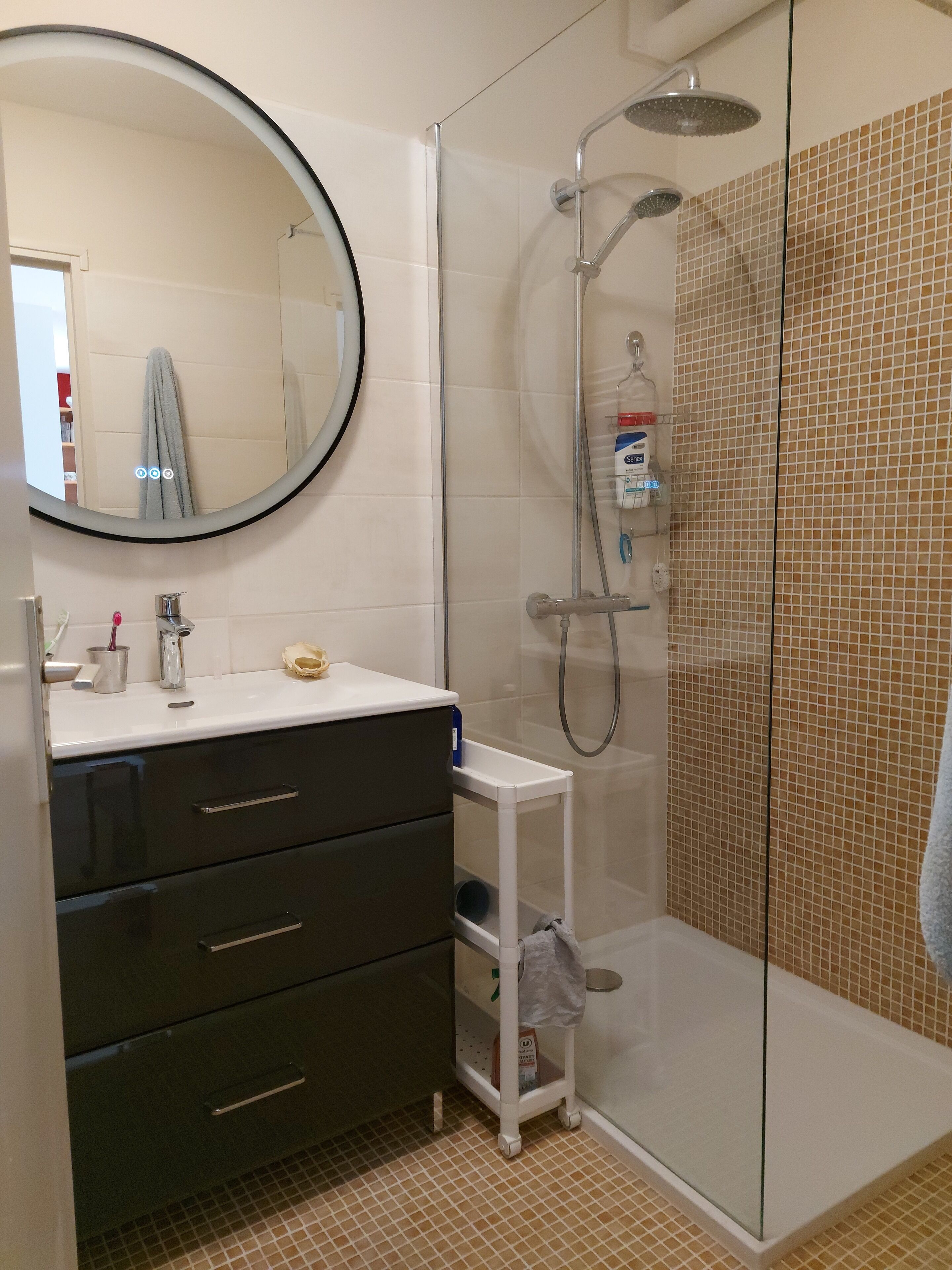Een douche, een haardroger, zeep, toiletpapier