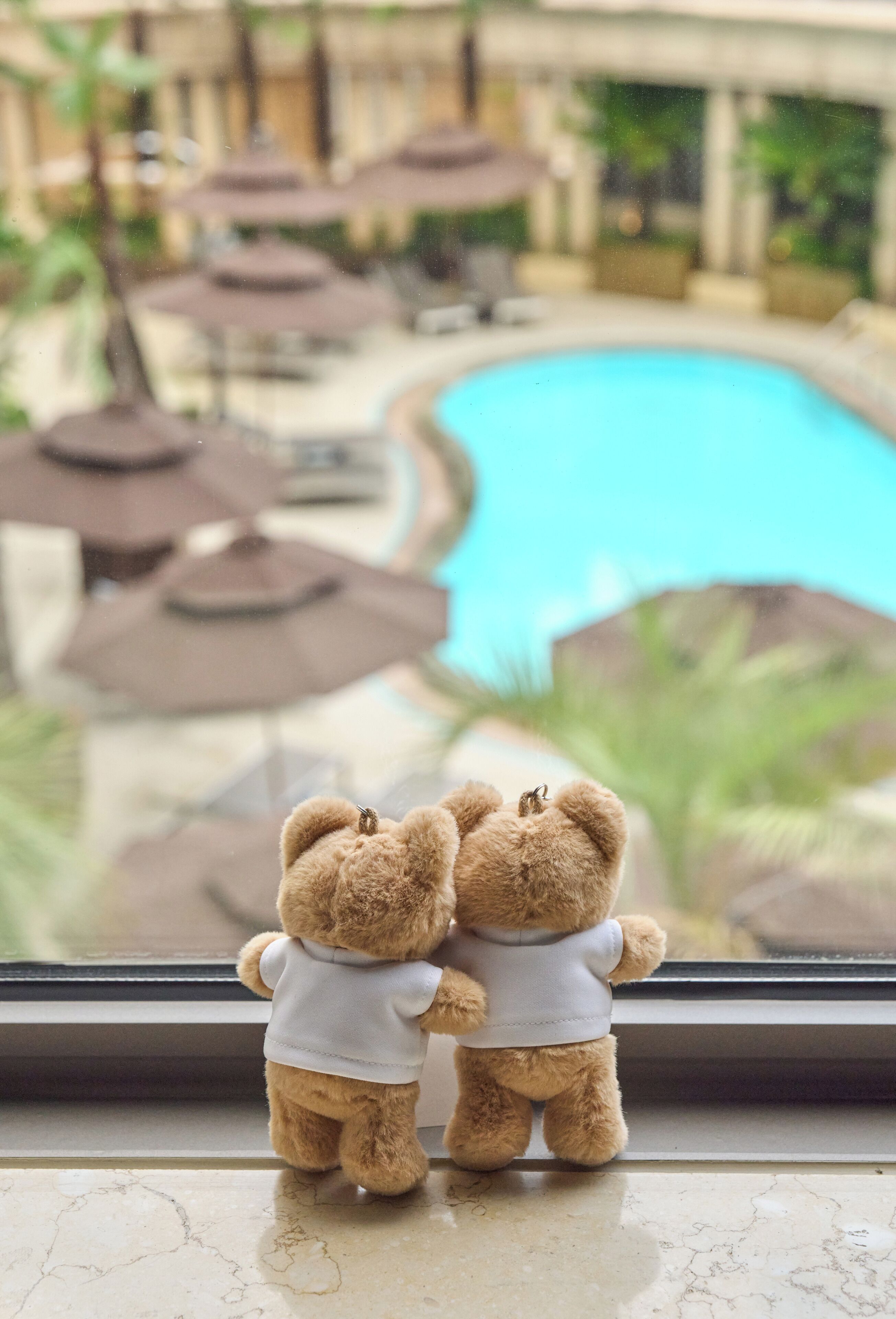 Two teddy bears on a windowsill overlooking a pool area with umbrellas and lounge chairs.