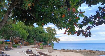 Condominium Rentals at Mactan Newtown