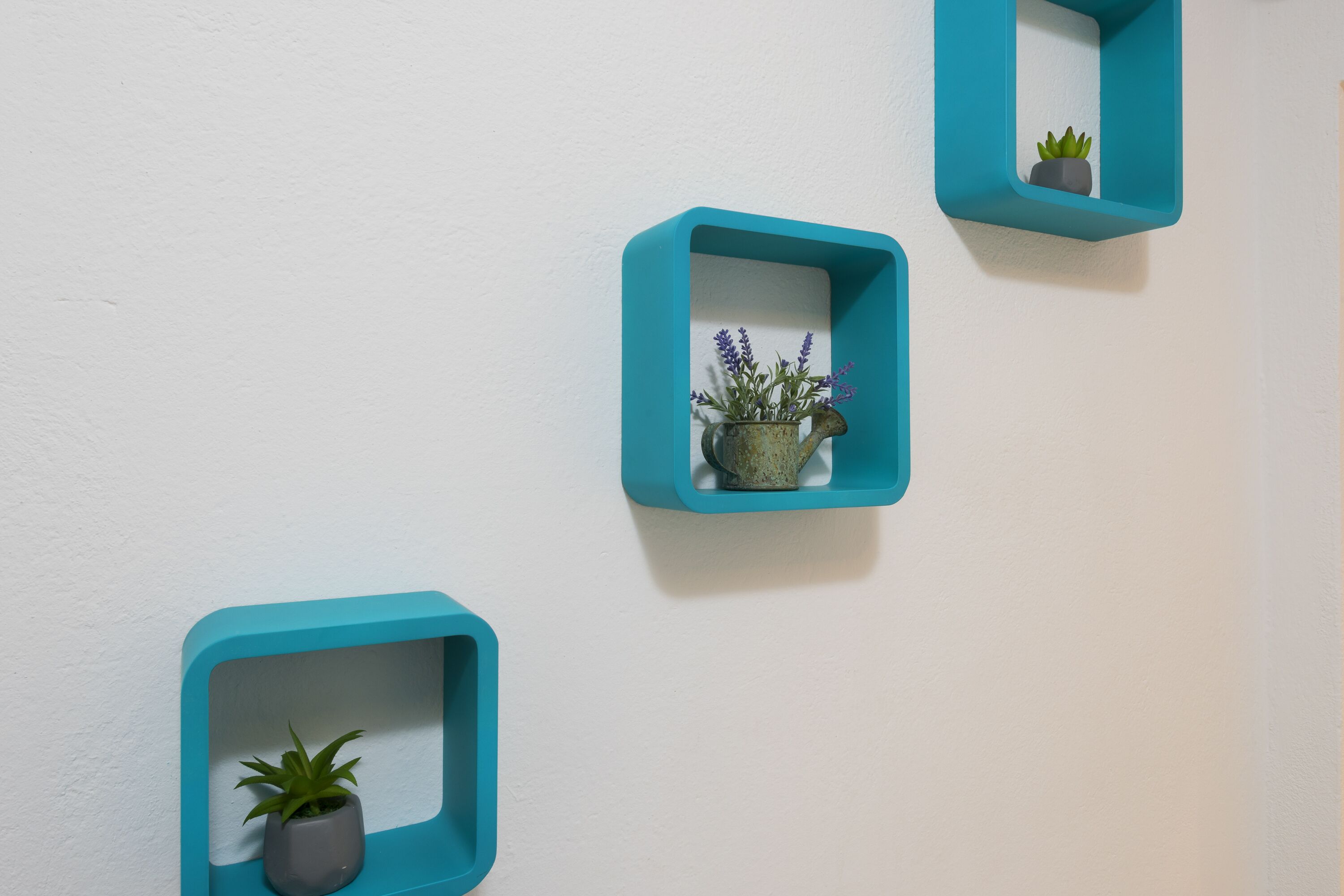 Three teal wall-mounted shelves with potted plants.