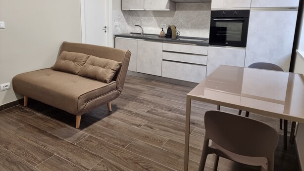 A compact living space with a kitchenette, a sofa, a dining table, and a chair. - TWO-ROOM APARTMENT with kitchen-PAVIA-near the center (Pavia)