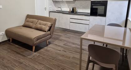 TWO-ROOM APARTMENT with kitchen-PAVIA-near the center