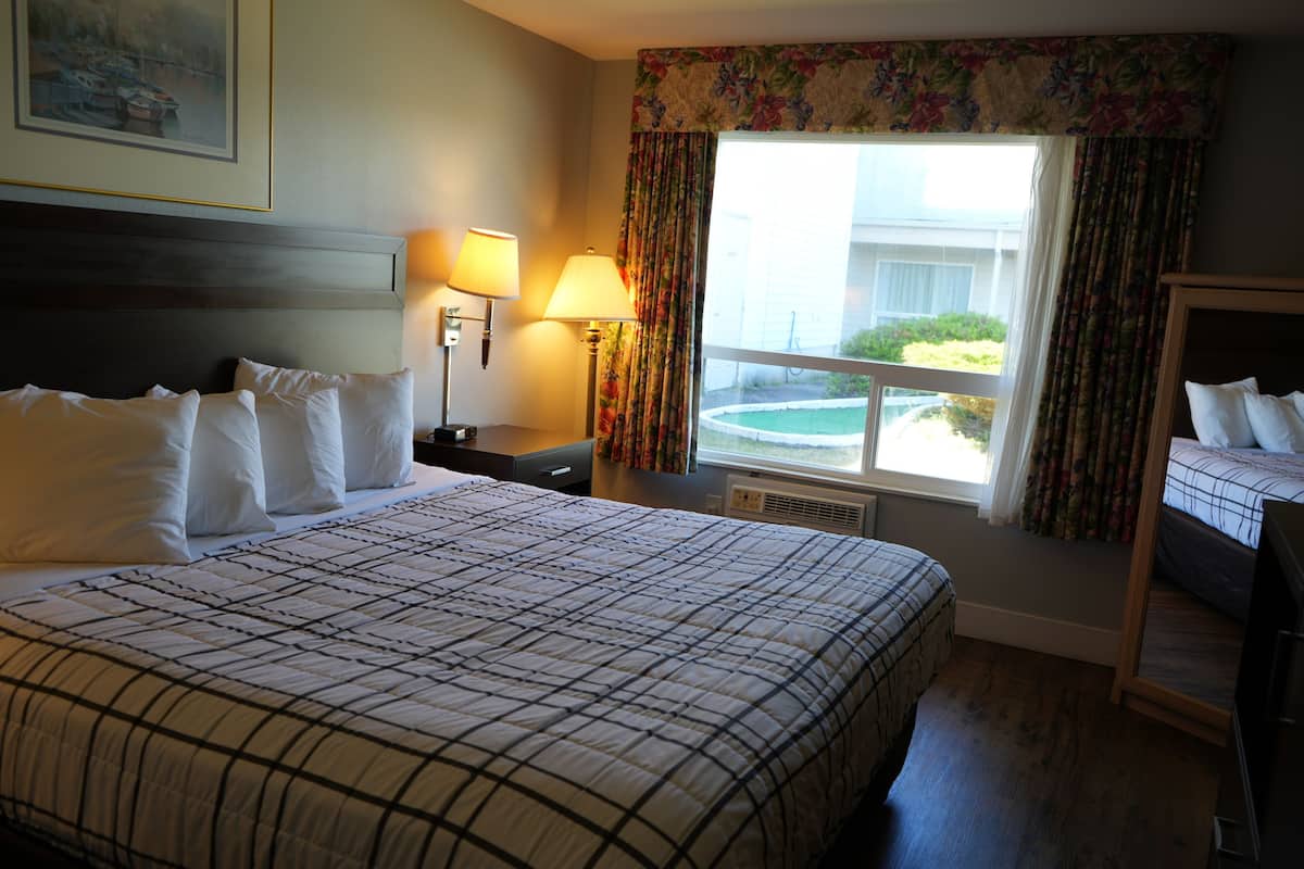 Room, 1 King Bed, Non Smoking Pet room | Una scrivania, postazione laptop, ferro/asse da stiro, Wi-Fi gratuito