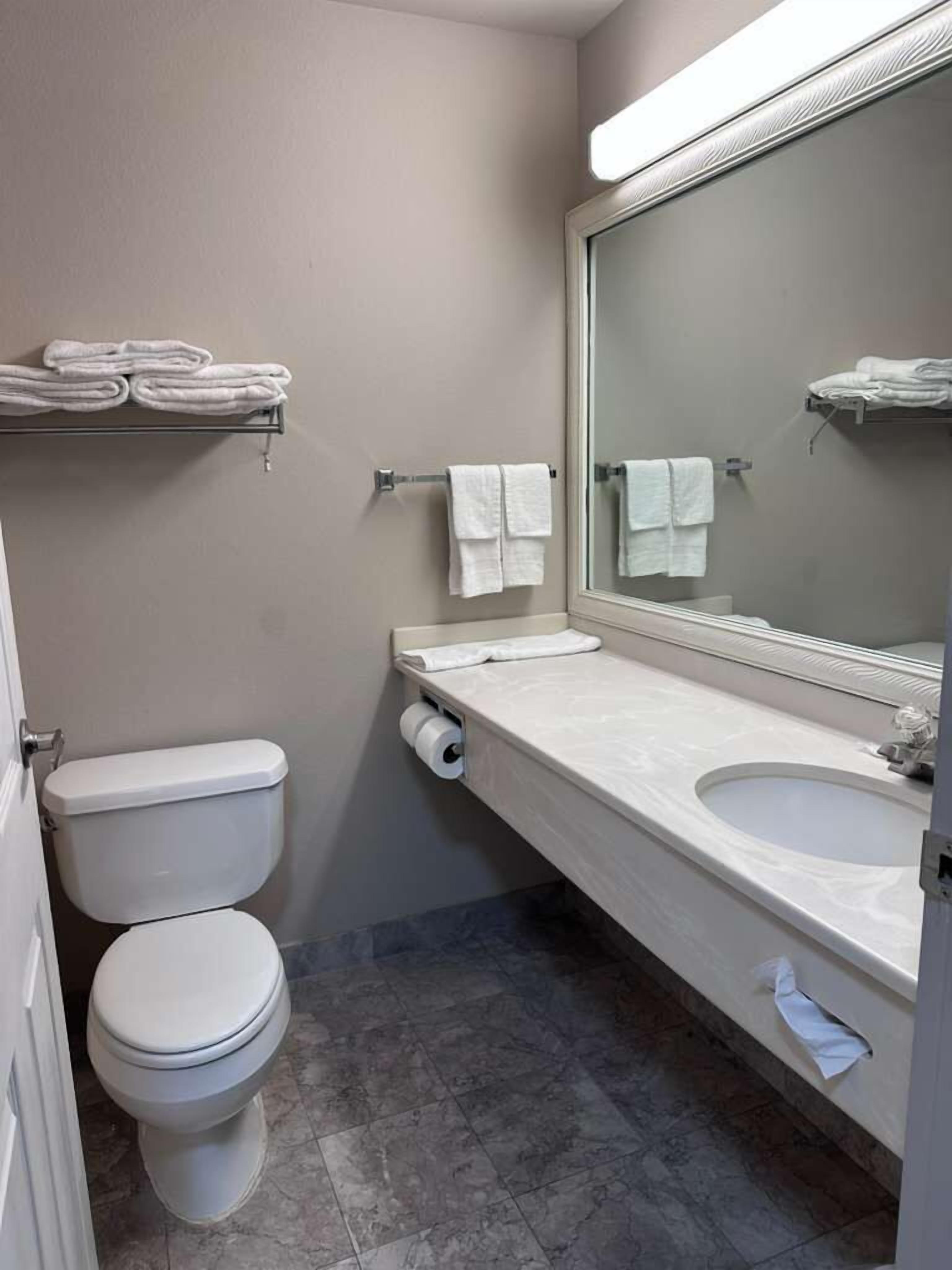 A bathroom with a toilet, sink, and mirror.