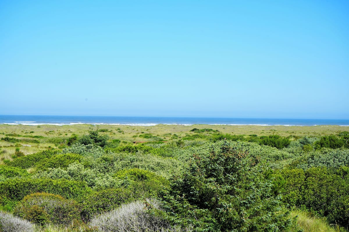 Un paysage côtier caractérisé par une végétation luxuriante et une vue dégagée sur l’océan.