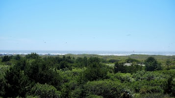 A coastal landscape with dense greenery and a clear view of the ocean.