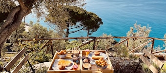 Eufonia del Mare
