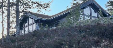 A house with a steep roof, large windows, and surrounded by dense shrubbery.