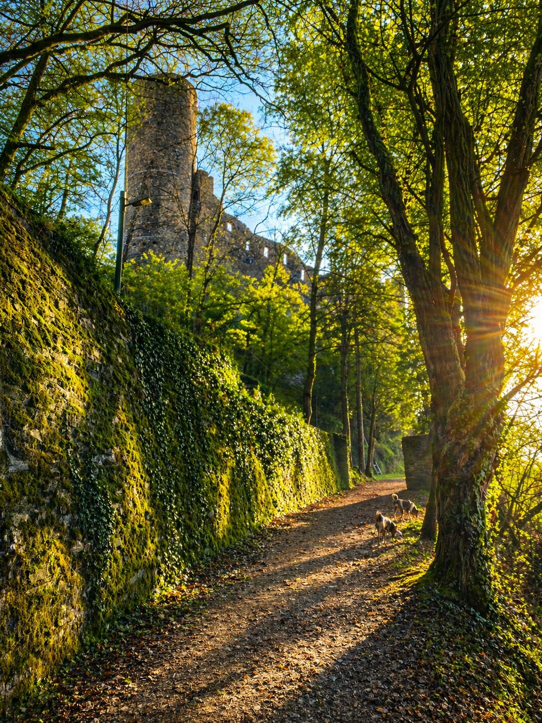 Caminho que leva a uma construção histórica de pedra, cercada por vegetação exuberante e árvores.