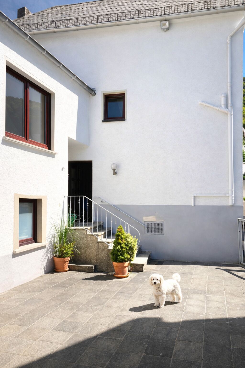 Ein Haus mit weißer Fassade, einer kleinen Veranda mit Stufen, und einem Hund, der auf der Veranda steht.