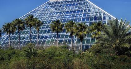 Beach lover's dream come true, walking distance to the sandy shores!