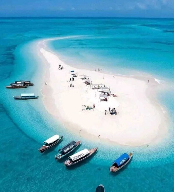 On the beach, sun-loungers